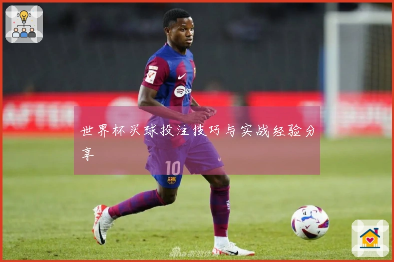 世界杯买球投注技巧与实战经验分享