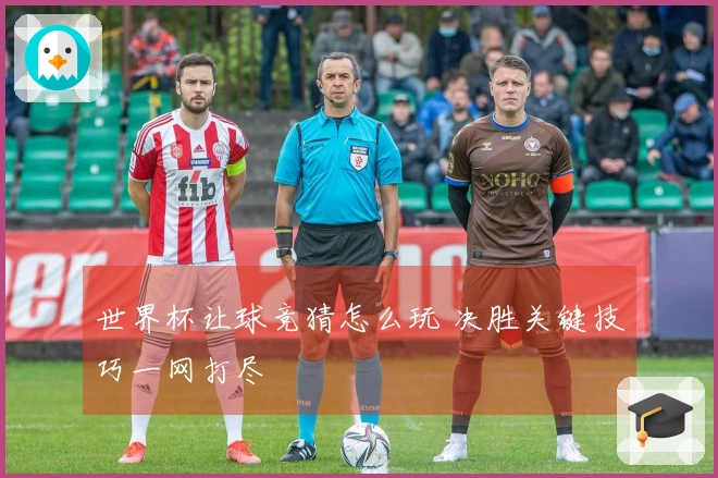 世界杯让球竞猜怎么玩 决胜关键技巧一网打尽