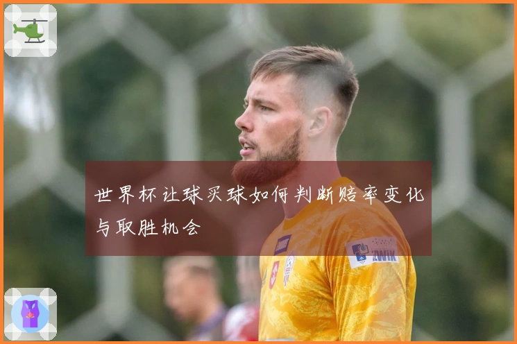 世界杯让球买球如何判断赔率变化与取胜机会