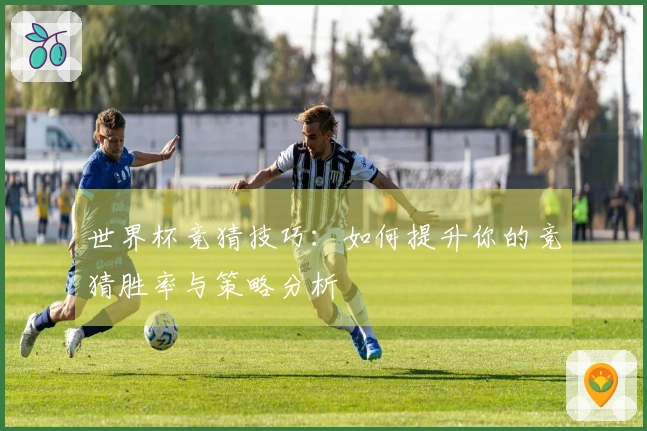 世界杯竞猜技巧：如何提升你的竞猜胜率与策略分析